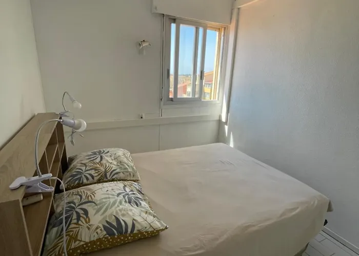 Apartment Duplex Face A La Avec Climatisation *